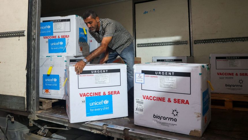 A worker unloads a shipment of polio vaccines provided with support from UNICEF to the Gaza Strip through the Karm Abu Salem crossing at a depot belonging to Gaza's health ministry on August 25.