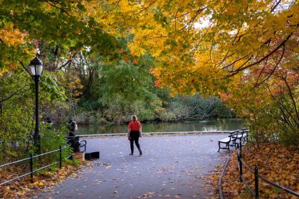 People enjoy Brooklyn's Prospect Park as trees near their peak autumn foliage in October 2022 in New York City.