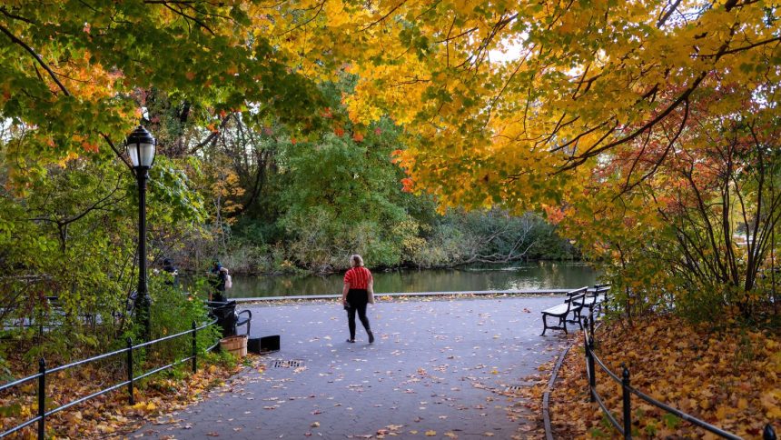 People enjoy Brooklyn's Prospect Park as trees near their peak autumn foliage in October 2022 in New York City.