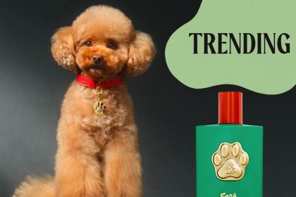 Shop Dolce & Gabbana Dog Perfume - hero images