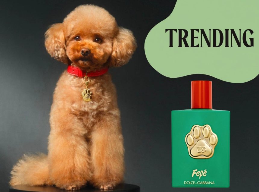 Shop Dolce & Gabbana Dog Perfume - hero images