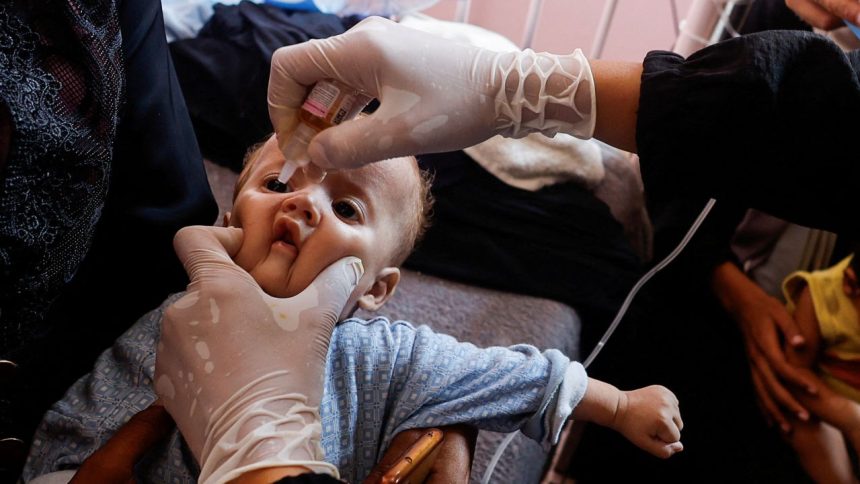 A Palestinian child is vaccinated against polio, amid the Israel-Hamas conflict, at Nasser hospital in Khan Younis in the southern Gaza Strip, August 31, 2024.