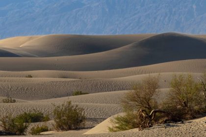 Summers in Death Valley National Park can be dangerous when visitors don't take all the precautions.