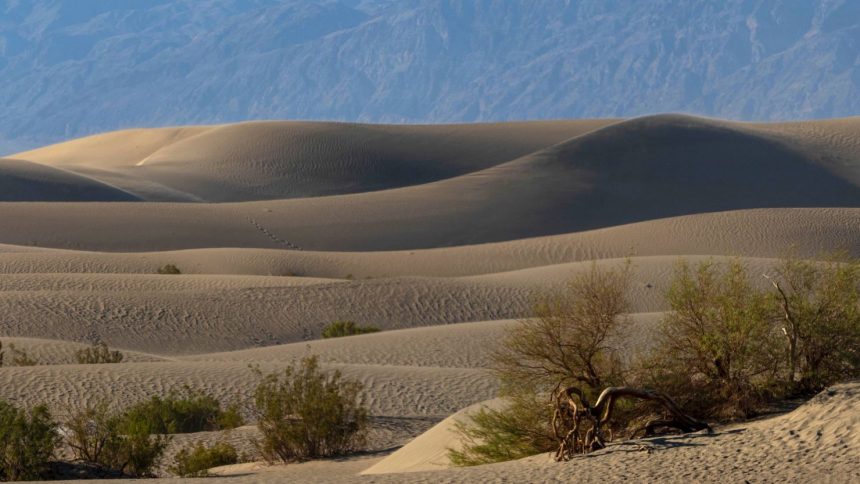 Summers in Death Valley National Park can be dangerous when visitors don't take all the precautions.