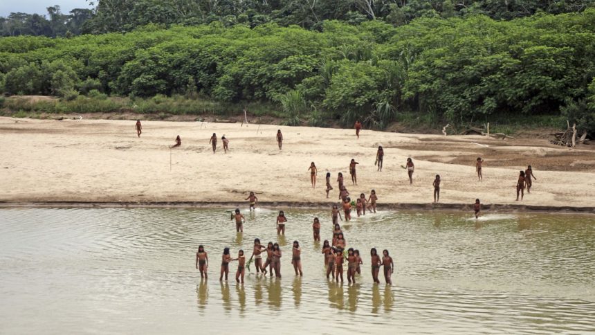 This June 2024 photo shows members of the Mashco Piro along Las Piedras River in the Amazon near the community of Monte Salvado, in Madre de Dios province, Peru.