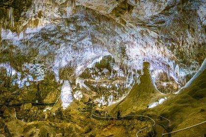 Carlsbad Caverns National Park in New Mexico is home to a fragile ecosystem.