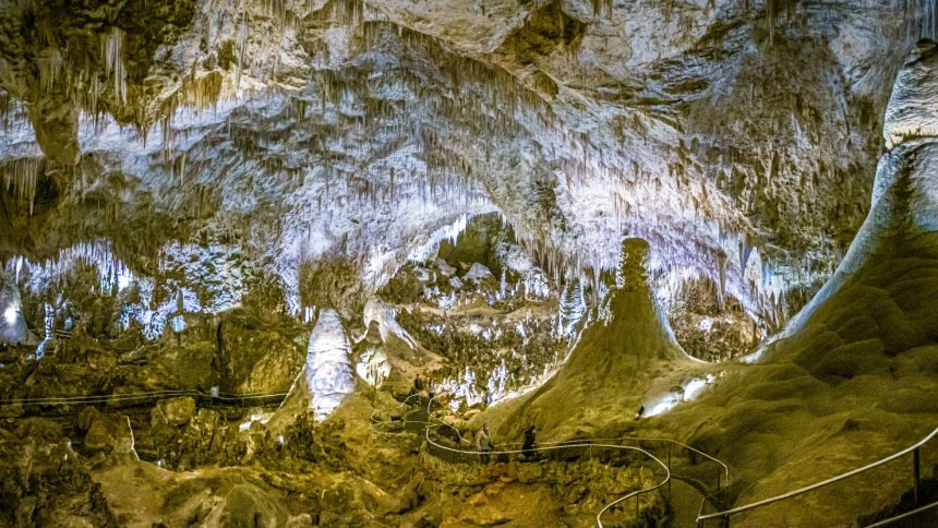 Carlsbad Caverns National Park in New Mexico is home to a fragile ecosystem.