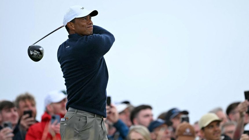 Tiger Woods announced he underwent successful back surgery.