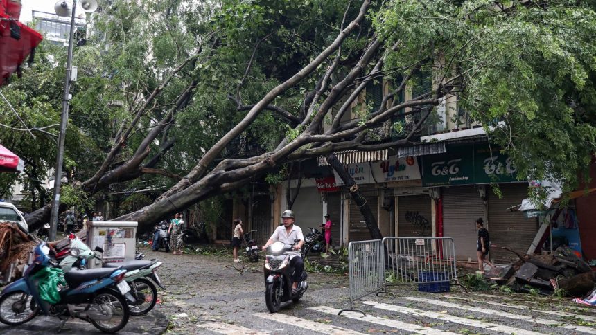 A man rides his motorbike past fallen trees on a street after Super Typhoon Yagi hit Hanoi, Vietnam, on Sunday.