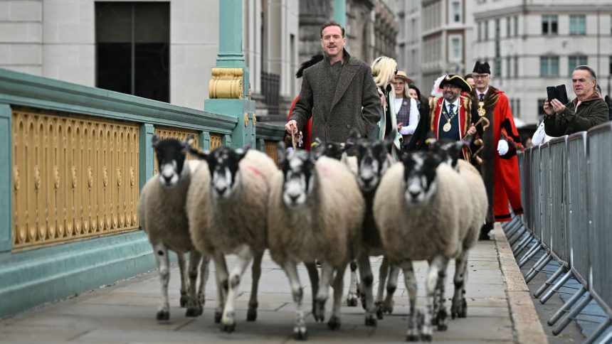 Damian Lewis drove a flock of sheep across London's Southwark Bridge on Sunday.