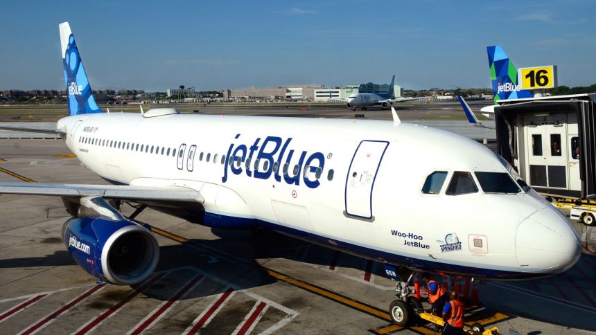 A JetBlue Airways plane is serviced at a gate at John F. Kennedy International Airport in a file photo.