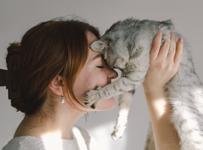 Shop Best Mother's Day Gift For Cat Moms