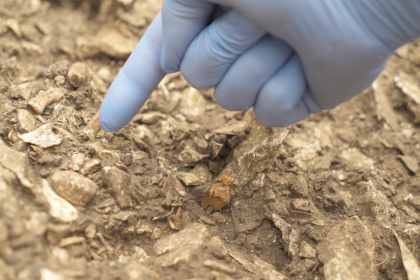 The remains of a Neanderthal, nicknamed Thorin, were discovered in Grotte Mandrin, a rock shelter in southern France's Rhône Valley.