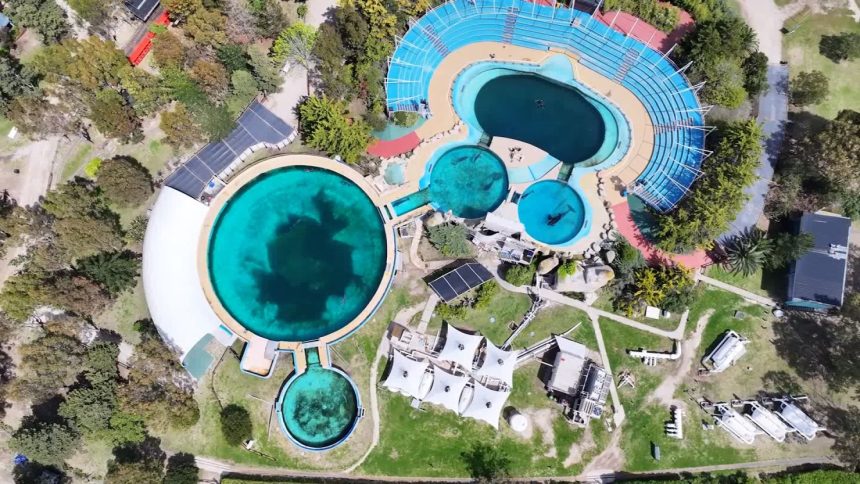 An aerial view of the Mundo Marino oceanarium.