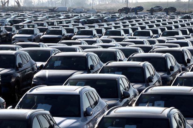 New cars, among them new China-built electric vehicles of the company BYD, are seen parked in the port of Zeebrugge, Belgium, October 24, 2024.