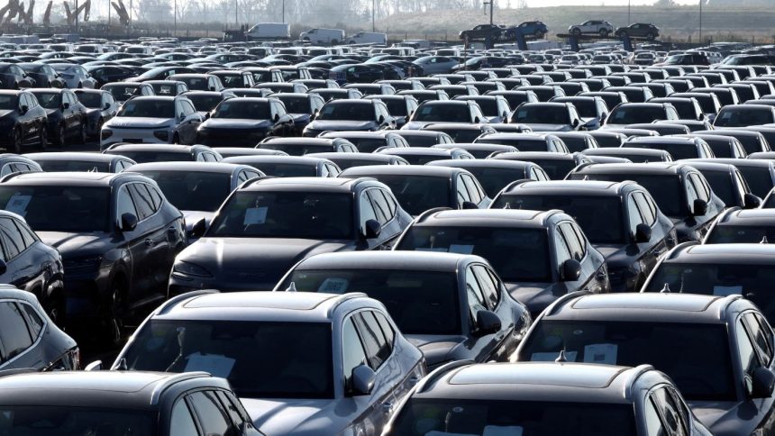 New cars, among them new China-built electric vehicles of the company BYD, are seen parked in the port of Zeebrugge, Belgium, October 24, 2024.