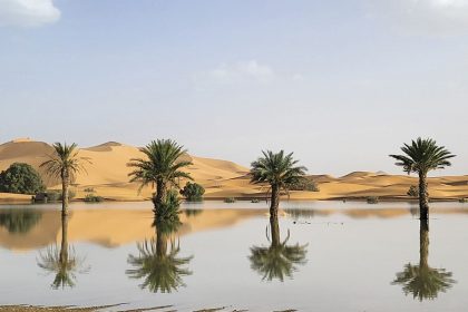 Palm trees are reflected in a lake caused by heavy rainfall in the desert town of Merzouga, near Rachidia, southeastern Morocco, Wednesday, October 2, 2024.