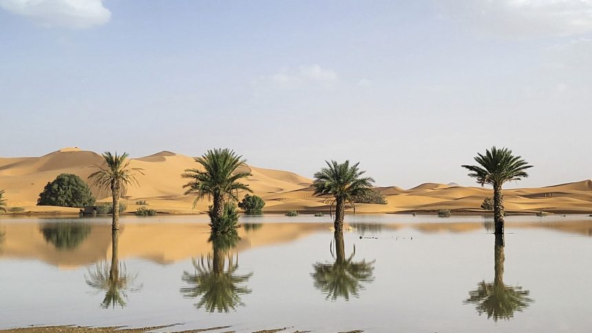 Palm trees are reflected in a lake caused by heavy rainfall in the desert town of Merzouga, near Rachidia, southeastern Morocco, Wednesday, October 2, 2024.