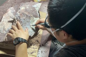 An expert from the Institute of Vertebrate Paleontology and Paleoanthropology of the Chinese Academy of Sciences cleans and prepares a rock containing dinosaur bone fossil, and clears the rock covering the fossil discovered in Hong Kong's Port Island.