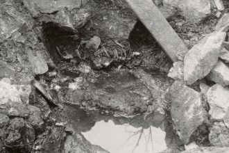 Researchers first excavated the remains of a skeletal torso — known as "Well-man" — from a well at a Norwegian castle in 1938.