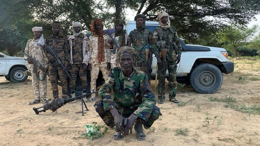 The armed group that held a CNN team in North Darfur for 48 hours.