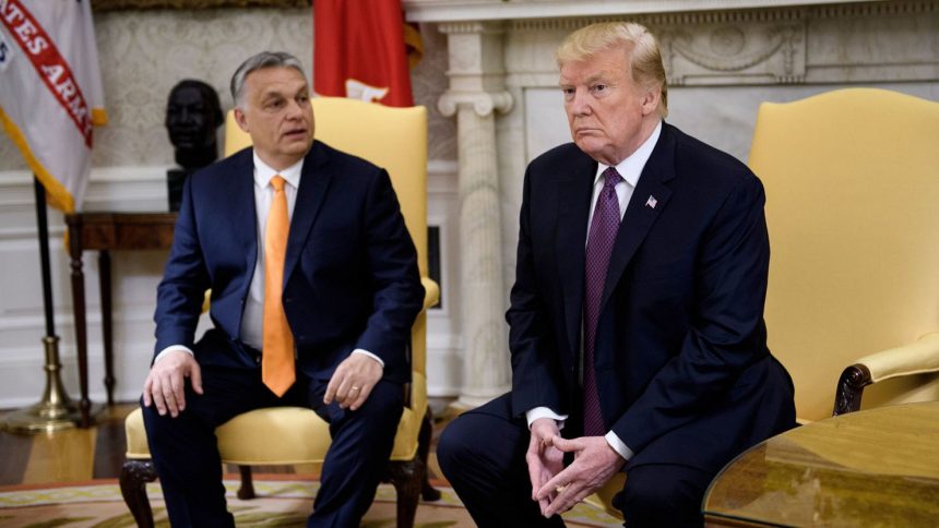 Hungary's Prime Minister Viktor Orban and US President Donald Trump wait for a meeting in the Oval Office of the White House May 13, 2019, in Washington, DC.