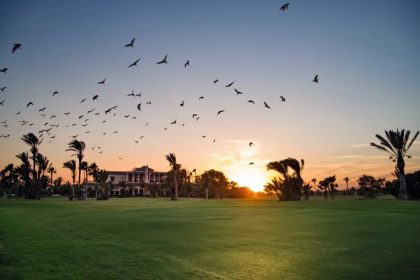 Marrakech in Morocco is steadily strengthening its reputation as a premier golf destination, with Golf Club Rotana Palmeraie among its star venues.