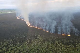 In this handout image from Fire and Emergency New Zealand, a fire is seen in New Zealand's Waikato wetland.