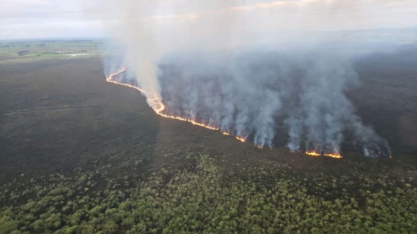 In this handout image from Fire and Emergency New Zealand, a fire is seen in New Zealand's Waikato wetland.