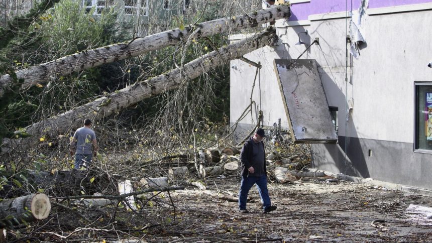 A crew cuts a tree that fell on a Taco Bell restaurant Issaquah, Washington, on Wednesday.