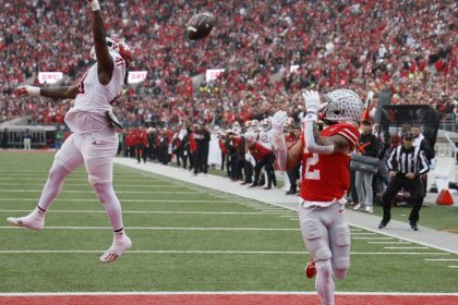 Ohio State receiver Emeka Egbuka catches 11-yard touchdown pass from quarterback Will Howard. (AP Photo/Jay LaPrete)