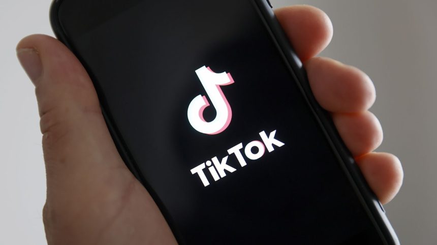 TikTok, like other social media platforms, has long faced scrutiny over the policing of content on its app.