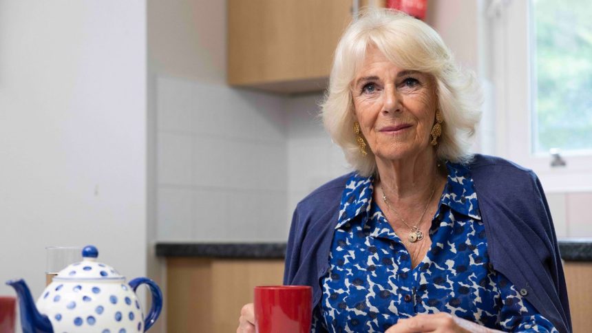 Queen Camilla meets with survivors of domestic abuse as part of a new documentary airing next week.