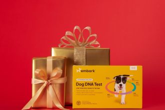 Shop Embark Dog DNA Test