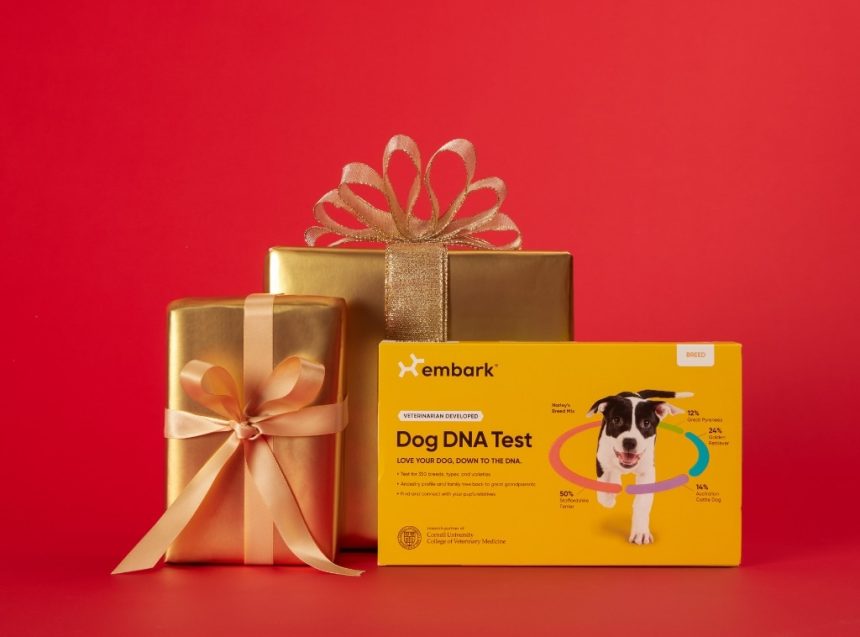 Shop Embark Dog DNA Test