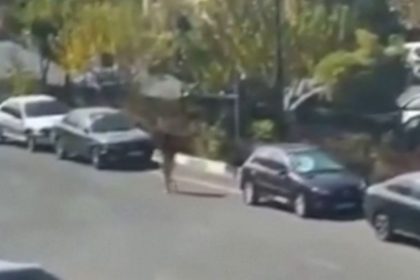 Video shared on social media shows the woman in Tehran walking down a road, still in a state of undress, before a group of men surround her, bundle her into a car, and drive away.