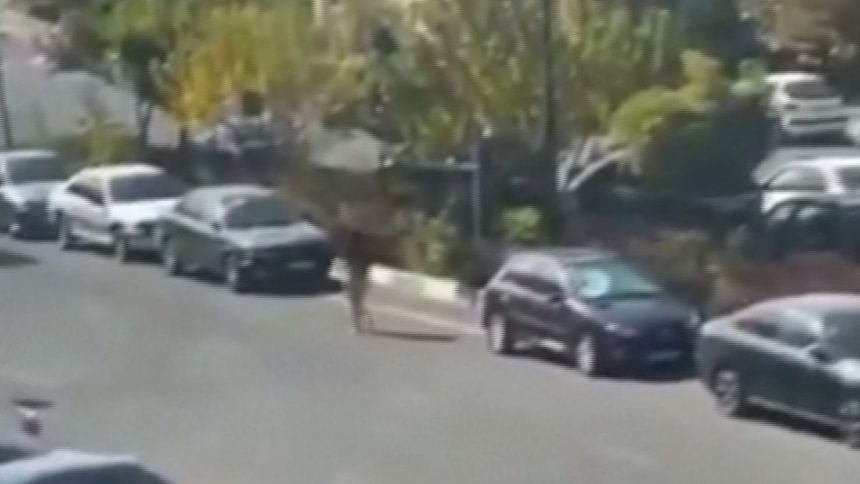 Video shared on social media shows the woman in Tehran walking down a road, still in a state of undress, before a group of men surround her, bundle her into a car, and drive away.