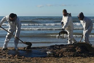 Volunteers work to clean up spilled heavy oil on the shoreline in the Russian village of Vityazevo, near the Black Sea resort of Anapa, on December 20.