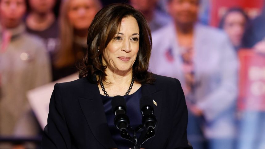 US Vice President Kamala Harris is one of a number of public figures whose names feature on the list.