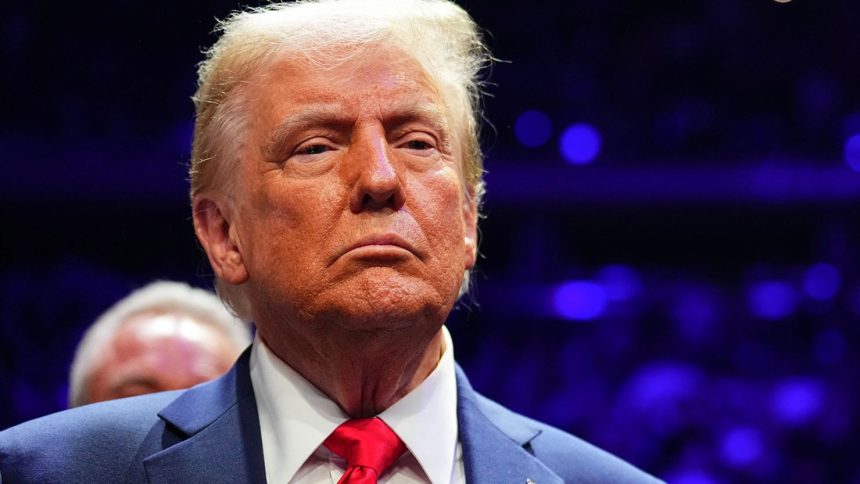 President-elect Donald Trump looks on during the UFC 309 event at Madison Square Garden on November 16.