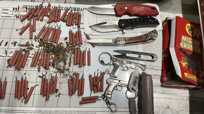 The items that were seized from the traveler's carry-on, including pepper spray and knives.