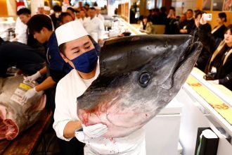 The head of a 276-kilogram bluefin tuna that was auctioned for 207 million Japanese yen (about 1.3 million U.S. dollars) at the first tuna auction of the New Year in Tokyo, Japan, on January 5, 2025.