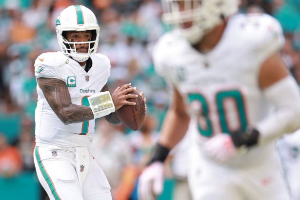 The Miami Dolphins have once again been voted top of the NFLPA's report cards.