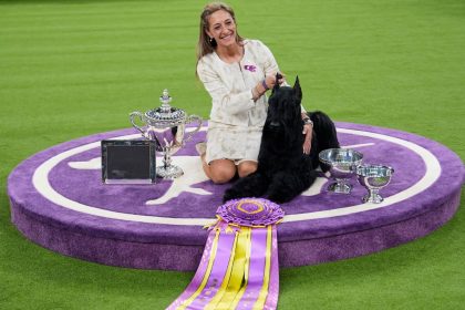 Handler Katie Bernardin and Monty, a Giant Schnauzer, celebrate after winning Best in Show in the 149th Westminster Kennel Club Dog Show.