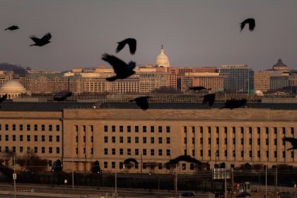 Birds fly near the Pentagon, in Arlington, Virginia, on December 14, 2024.