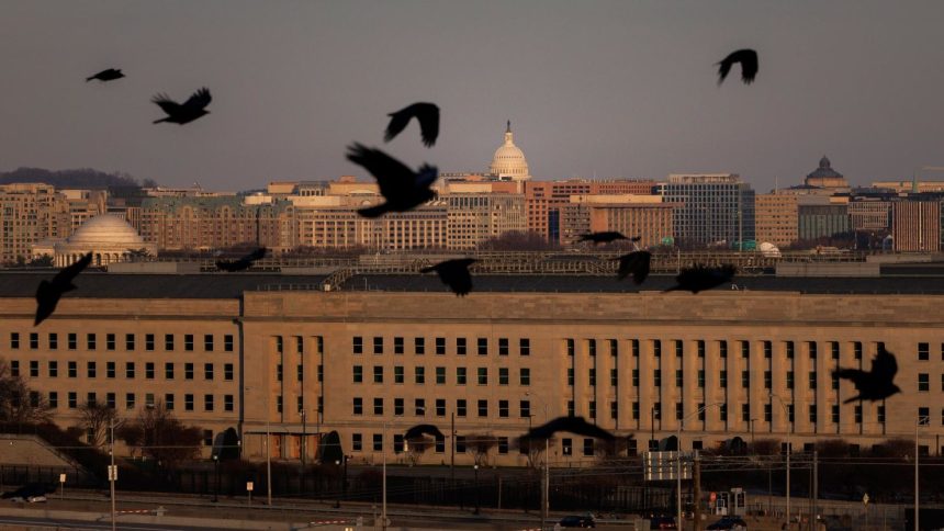 Birds fly near the Pentagon, in Arlington, Virginia, on December 14, 2024.