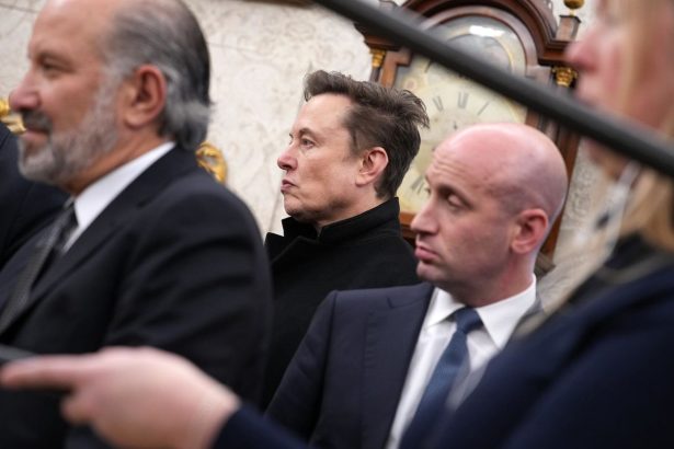 Elon Musk attends a meeting with President Donald Trump in the Oval Office at the White House on February 13, in Washington, DC.