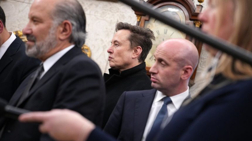 Elon Musk attends a meeting with President Donald Trump in the Oval Office at the White House on February 13, in Washington, DC.