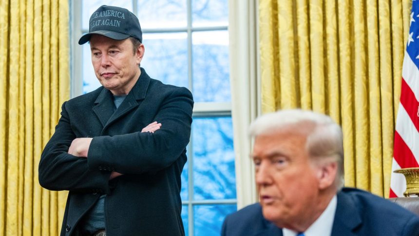 Elon Musk speaks to reporters alongside President Donald Trump during an executive order signing in the Oval Office of the White House in Washington, DC, on February 11.