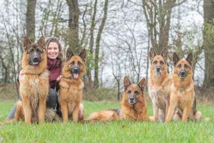 Canine companions: Dog photographer John Fabiano has been traveling the world and documenting the relationships between dogs and humans. In Germany, he photographed dog breeder Laura Schmidtk and her pack of German Shepherds.